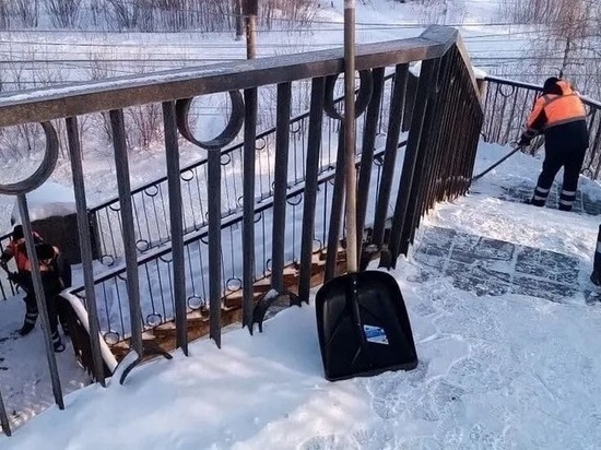 Калужские чиновники вышли на уборку от снега школ и детсадов