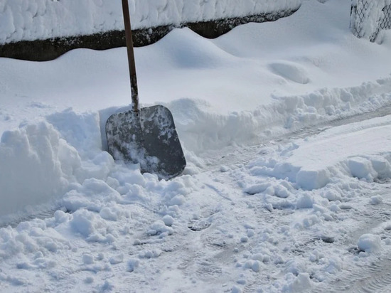 Более четырех тысяч кубометров снега вывезли за сутки с улиц Барнаула