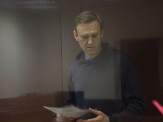 Прокурор попросила оштрафовать Навального на 950 тыс. руб за клевету