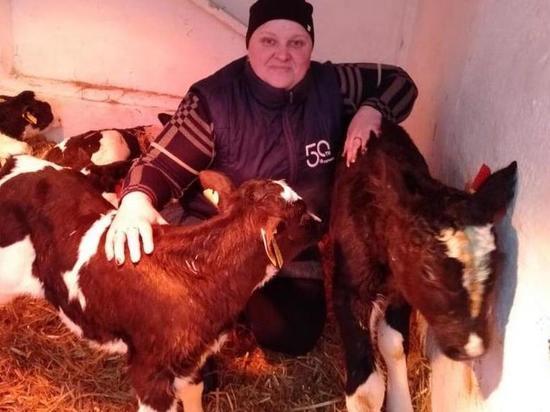 На рязанской ферме родился теленок весом 70 килограммов