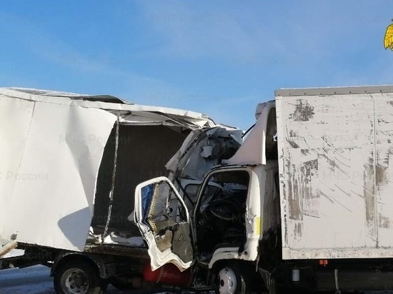 Два грузовика столкнулись на М-3 в Калужской области