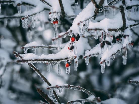 Смоленскую область заморозит в ночь на 17 февраля