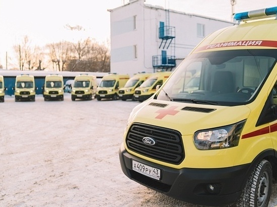 В Кировской области лошадь Машка была первой "скорой помощью"