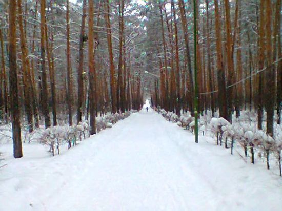Синоптики предсказали в Омске два дня снегопада
