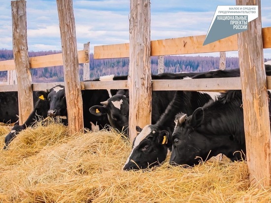 Более 160 тонн мяса в год перерабатывает югорская ферма в Батово