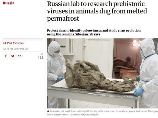 Российская лаборатория начала исследовать доисторические вирусы в животных из мерзлоты
