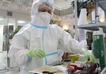 За минувшие сутки в Московской области выявили 470 новых случаев заражения COVID-19, что стало минимальным с 22 октября показателем
