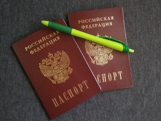 Свыше 21 600 жителей ДНР получили паспорта РФ с начала 2021 года