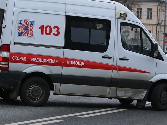 Советник нижегородского вице-губернатора сбил девочку на зебре