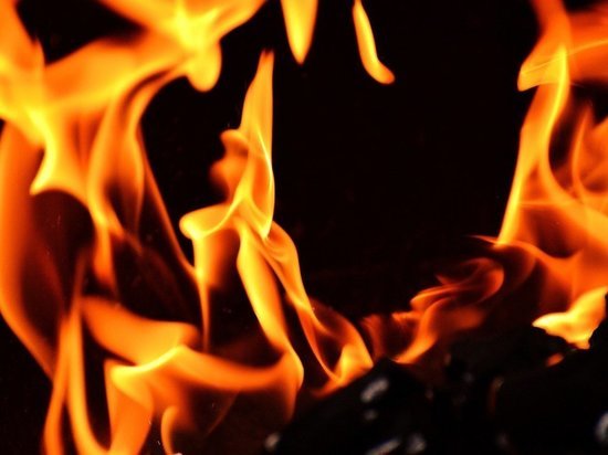Пожары унесли жизни 42 жителей Алтайского края с начала года