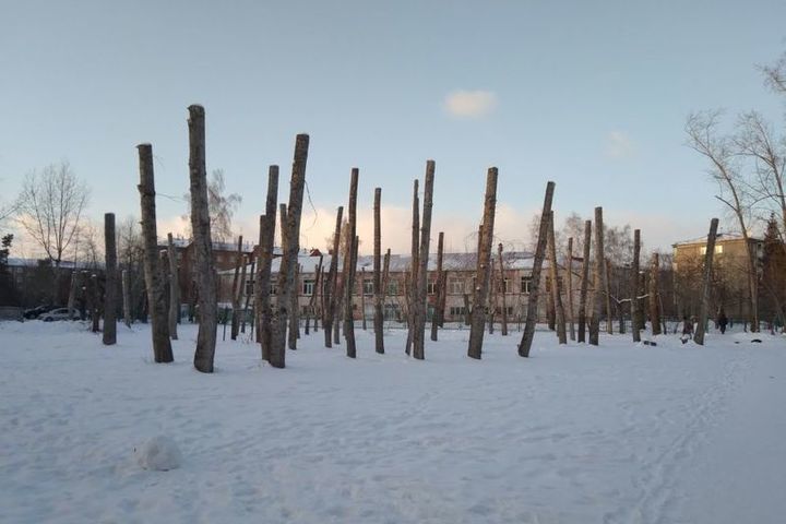 Погода в омске в амурском поселке. Омская область поселок Амурский. Деревья голые зимой фото подстриженные в городе.