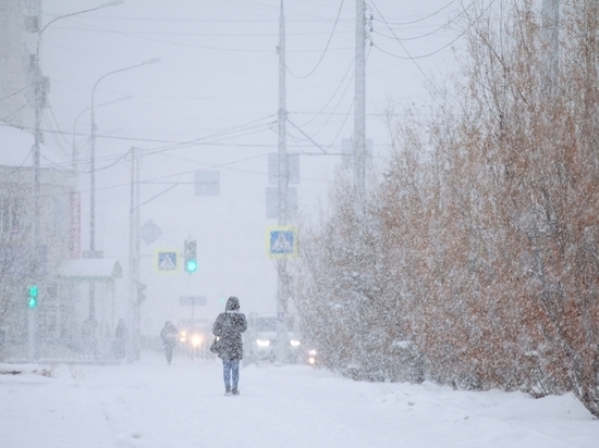 19 февраля на большей части территории Якутии ожидается снег