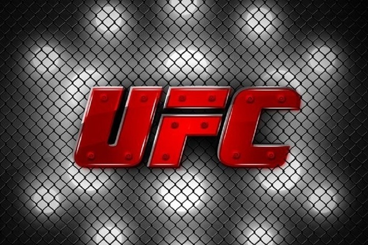 TikTok покажет эксклюзивный лайв-контент от UFC в рамках долгосрочного  партнерства - МК Ярославль