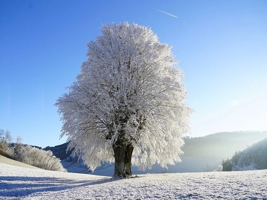 Смоленскую область ожидает приятный, но морозный солнечный день