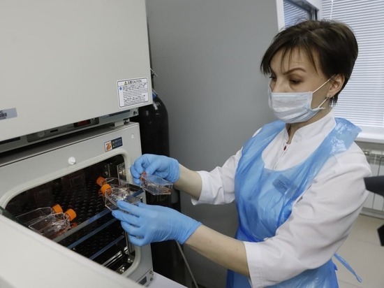 В Кемерове открылась крупнейшая в регионе генетическая лаборатория