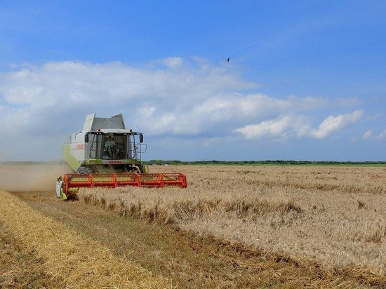 На сельхозпредприятиях Воронежской области создадут более 5 тысяч новых рабочих мест