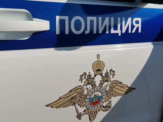 В Подмосковье оперативники задержали двух мошенников из Тульской области