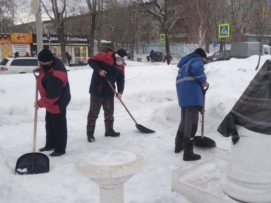 Барнаульские депутаты взяли лопаты и расчистили снег у памятных мест
