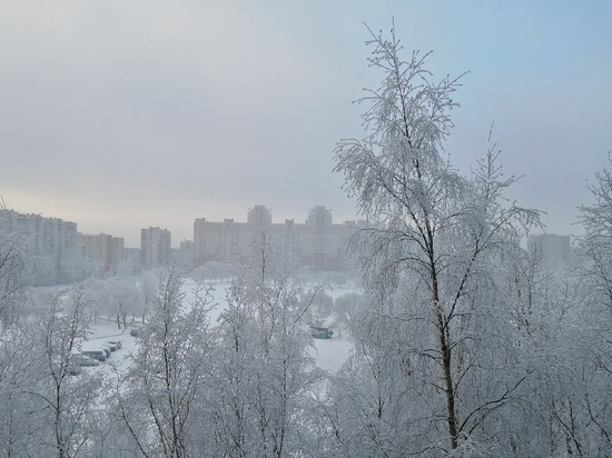 На Петербург надвигается необычайно мощный снегопад