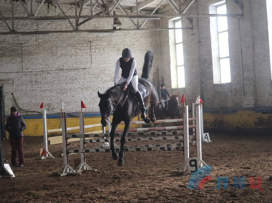 В Луганске провели фестиваль по конному спорту