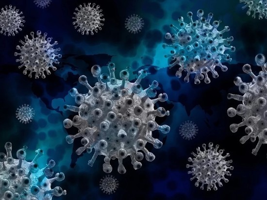 В Австрии назвали сроки сохранения иммунитета к коронавирусу