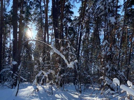 Погода в Рязанской области: в ночь на 22 февраля будет до 17 градусов мороза