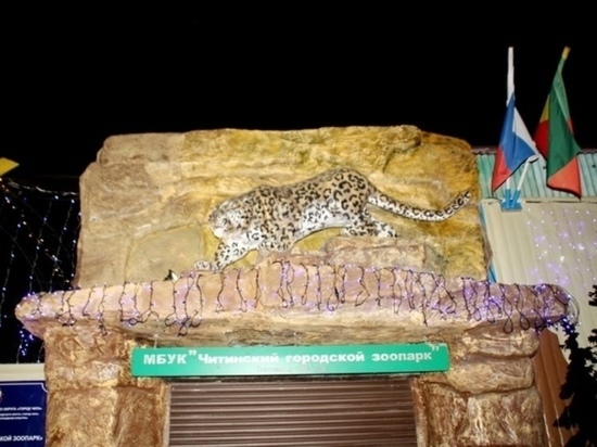 Крупных зверей из Читинского зоопарка перевезут в «Амодово»