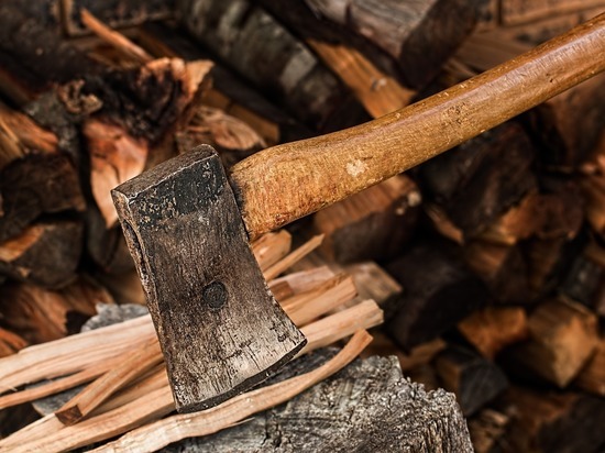 Сити-менеджер Читы предложил продавцам дров снизить цены для пенсионеров
