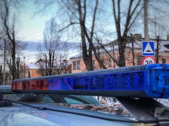 Водитель из Тверской области не заметил пешехода и сбил его