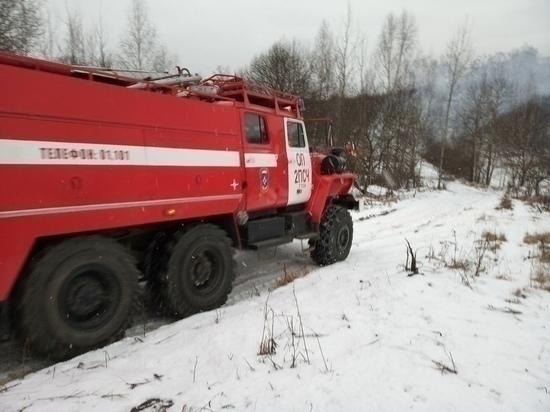 Тульские спасатели потушили 10 пожаров за сутки