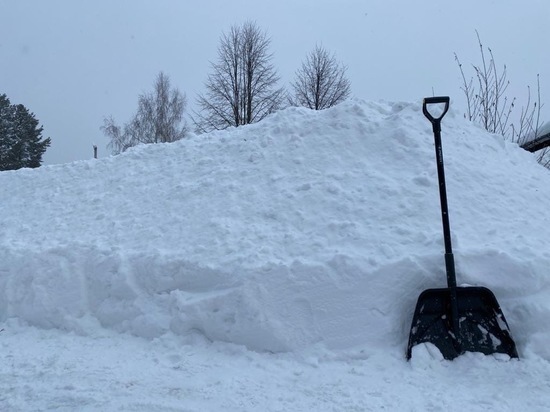 В Туле коммунальные службы борются со снегом
