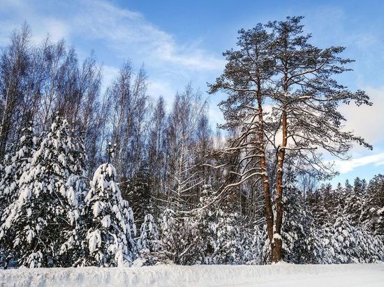 Погода в Рязанской области 24 февраля