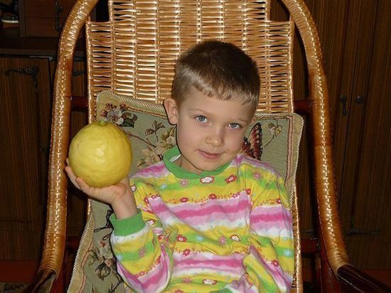 МК в Тамбове советует: лимоны можно вырастить в домашних условиях