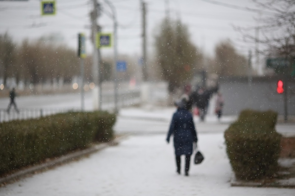Правда будет снег. Волгоград в снегу фото. Фото теплый январь в Волгограде. Есть ли снег в Волгограде сейчас. Когда в Волгограде была самая суровая зима.