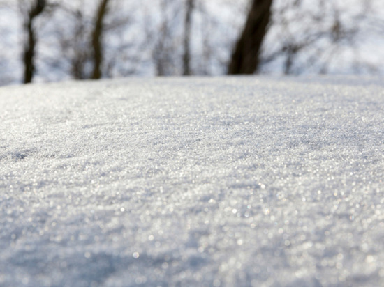 В Петербурге за два дня насыпало четверть метра снега