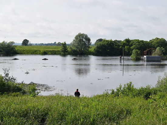 На расчистку 3 км русла реки Солотча в Рязани выделили 125 млн рублей