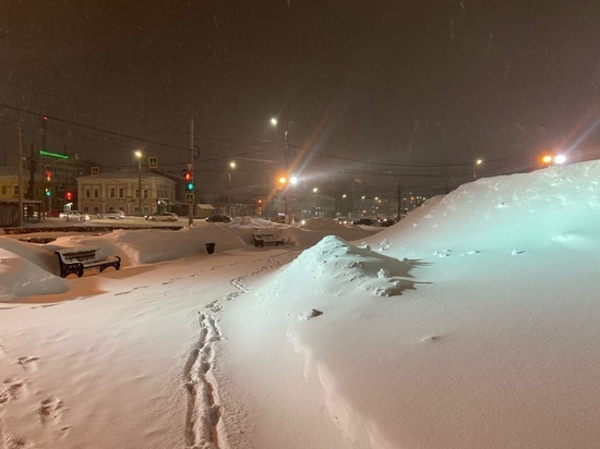 Рекордное за 35 лет количество снега выпало в Тульской области