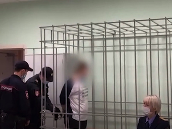 В Красноярске задержали трех торговцев младенцами и суррогатную мать