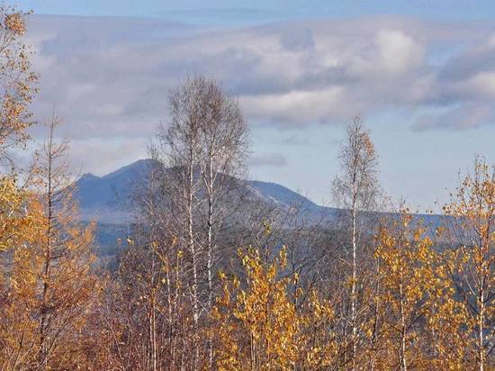 Площадь дистанционного мониторинга и лесов в Башкортостане увеличена в 1,5 раза