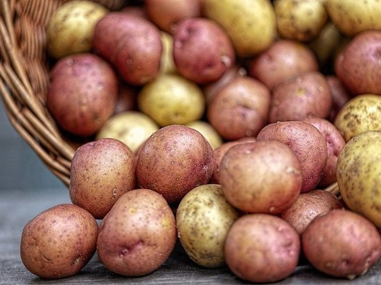 Новый завод в Упорово переработал и реализовал 1275 тонн картофеля