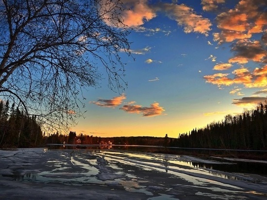 МЧС предупреждает смолян о тумане и гололедице 26 февраля
