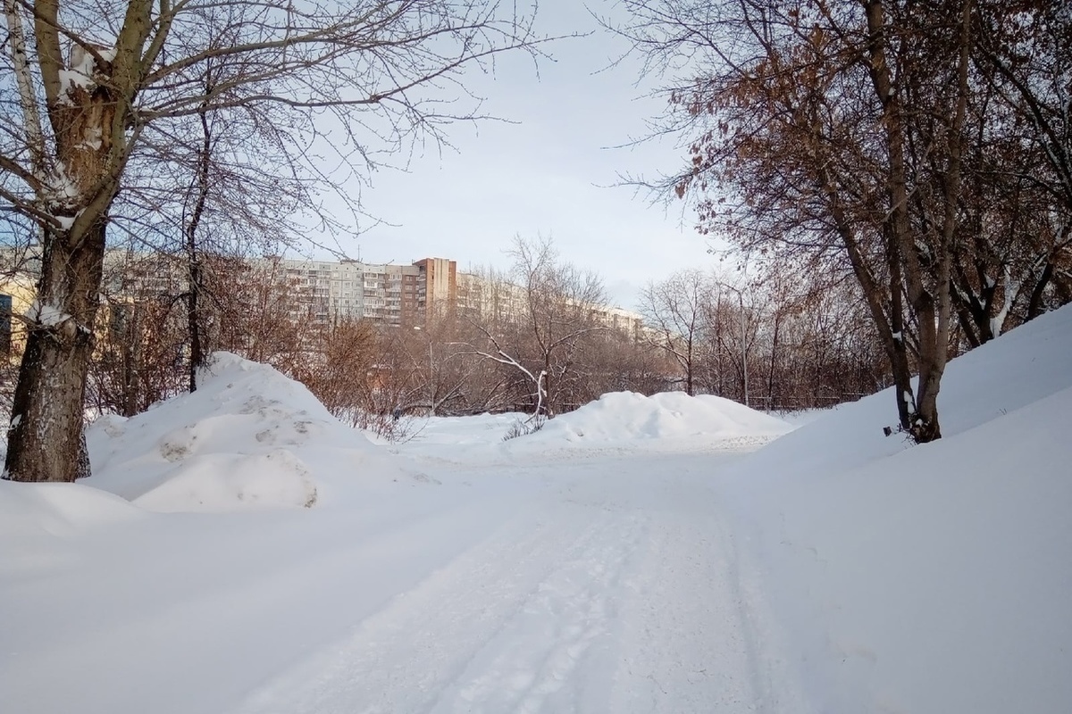 Снег в новосибирске сегодня фото