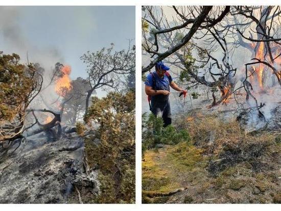 Ущерб природе заповедника "Утриш" в результате пожара оценили почти в миллиард рублей