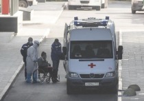 После спада пандемии COVID-19 никуда не исчезнет