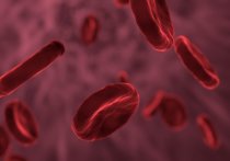 Вещество, предотвращающее появление рубцов, нашли в менструальной крови российские исследователи из Института регенеративной медицины МГУ имени Ломоносова