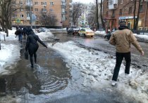Только-только разгребли выпавший в середине февраля в Москве снег — как уже, пожалуйста, новая напасть