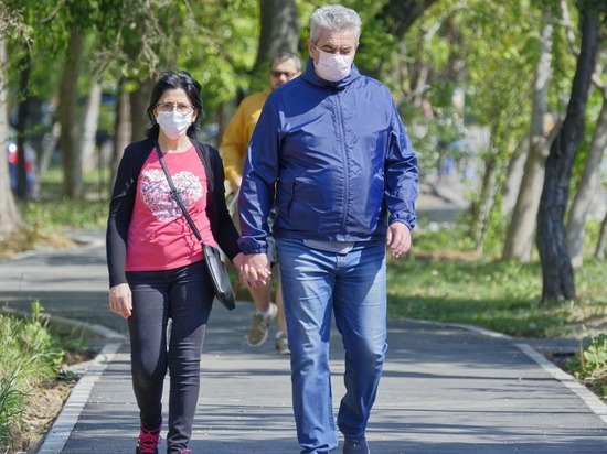 Германия: носить медицинские маски заставят и в парках