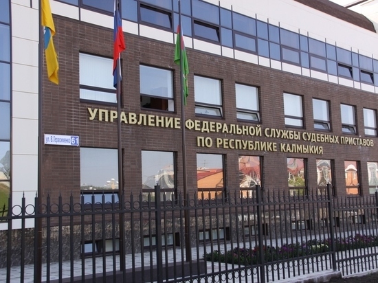 В Калмыкии долги по фискальным платежам превысили два десятка миллионов