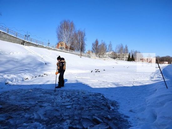 Спасатели в Альметьевске очистили пруд с зимующими утками