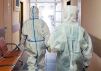 Петербургский комитет по здравоохранению ожидает выхода на плато по COVID-19